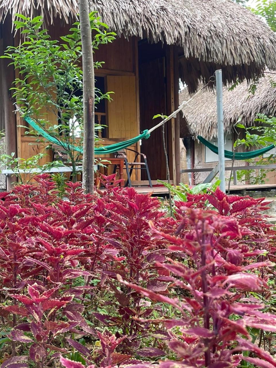Cuc Phuong Bungalow Nho Quan Zewnętrze zdjęcie